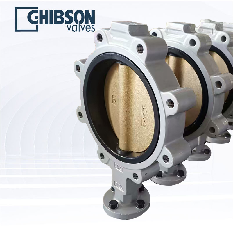 不锈钢支耳式蝶阀