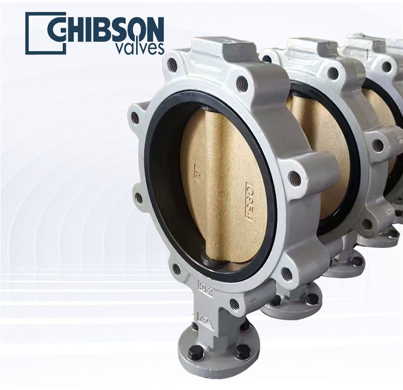 不锈钢支耳式蝶阀